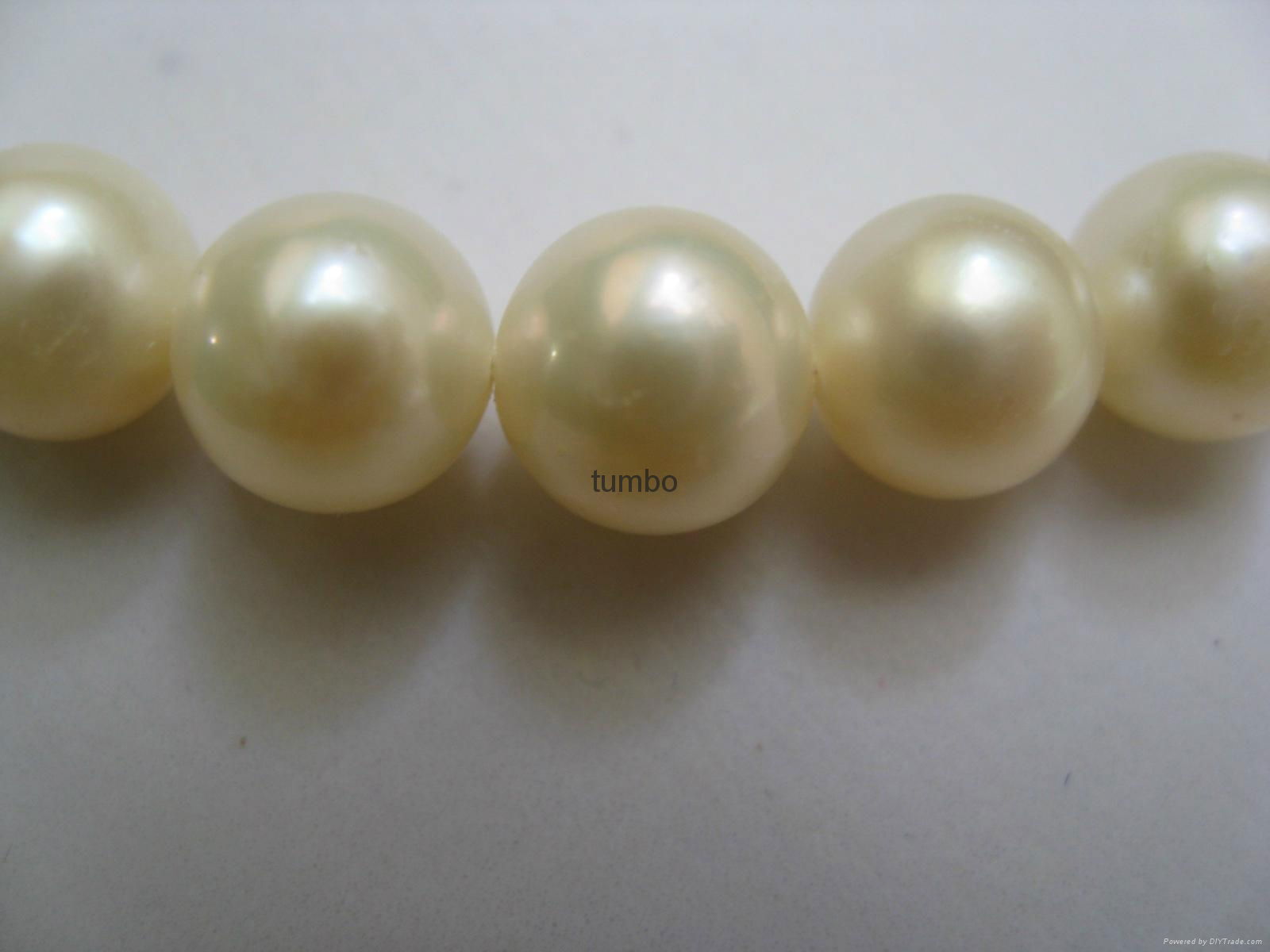 Wholesale fashion pearl jewelry Chinese loose pearl genuine freshwater pearl OEM 2