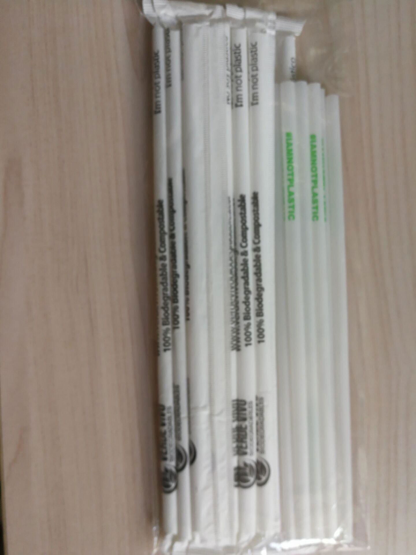 compostable pla straw 2