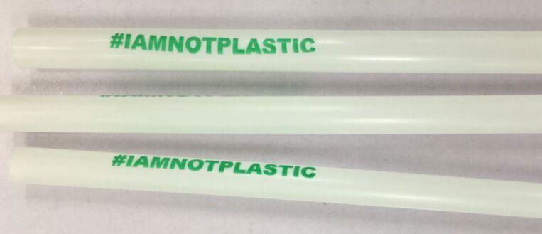 compostable pla straw