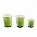 compostable pla coated paper cup 1