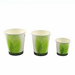 compostable pla coated paper cup