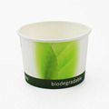 compostable pla coated paper cup 5