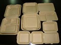 compostable wheat straw fiber party paper tableware 1