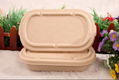 compostable wheat straw fiber party paper tableware 2