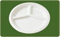 biodegradable sugarcane fiber paper lunch boxes 4