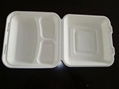 biodegradable sugarcane fiber paper lunch boxes 5