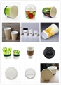 pla coated soup cup with CPLA lid 2