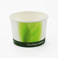 pla coated soup cup with CPLA lid