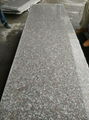 Guolian Granite Slab Granite Stone Granite Tile 4