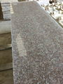 Guolian Natural Stone Granite Tiles 60x60 Granite Floor Tiles 4