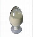 EGG WHITE PEPTIDE 1