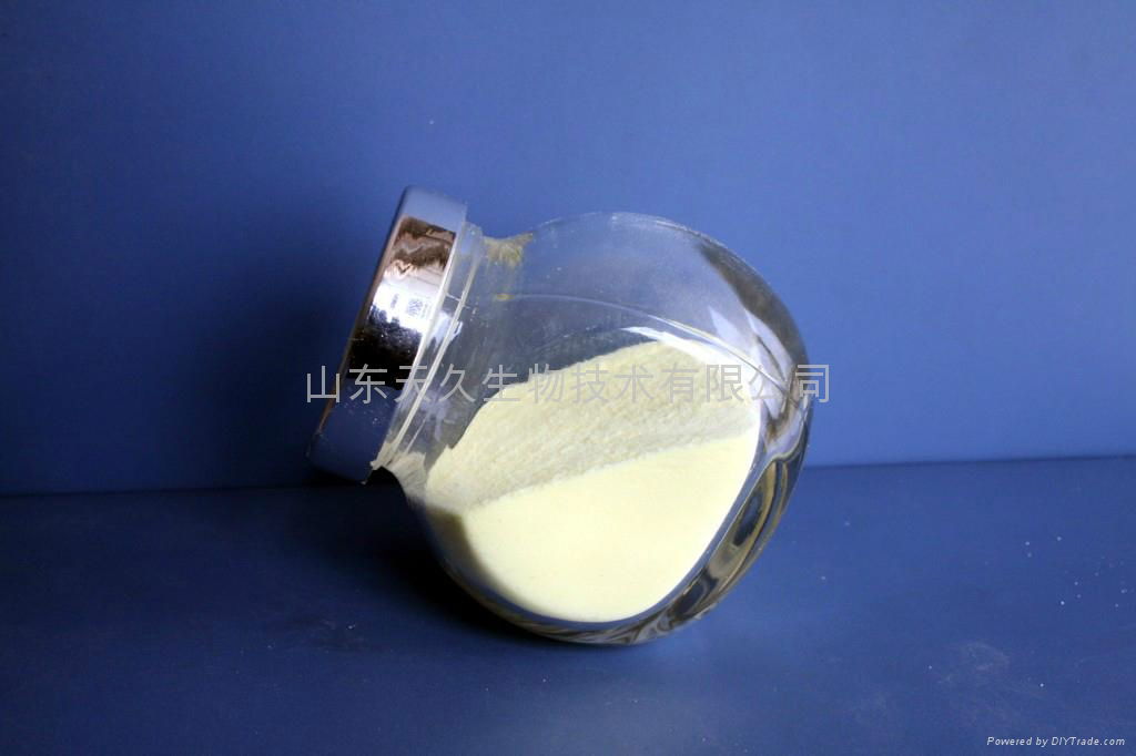 High Maltose Powder