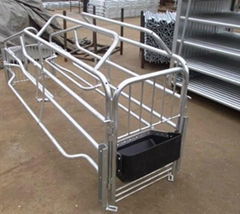 farrowing crate