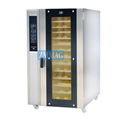 12 trays convection oven