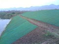 重庆厂家生产绿化种植三维植被网 1