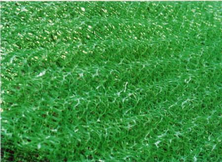 重慶廠家生產綠化種植三維植被網 3