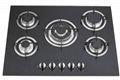 5 burner gas cooker glass hobs gas hobs