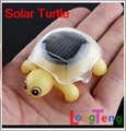 Mini Solar Educational Toy Little Tortoise Turtle Dropshipping wholesale Solar p