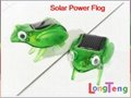 Sunlight Capering Solar Frog Educational kids Toy Gift Funny Toy Gift for kids