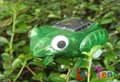 Sunlight Capering Solar Frog Educational kids Toy Gift Funny Toy Gift for kids