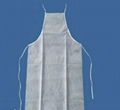 PP Apron 1