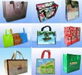 Non woven Shopping Bag 1