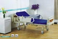 European Electric Two Function Nursing