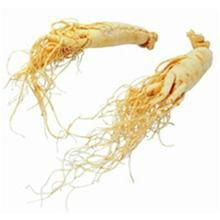 Ginseng polysaccharide