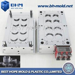 Plastic Injection Mold for Custom