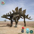 Life Size Dinosaur Fossil Skeleton