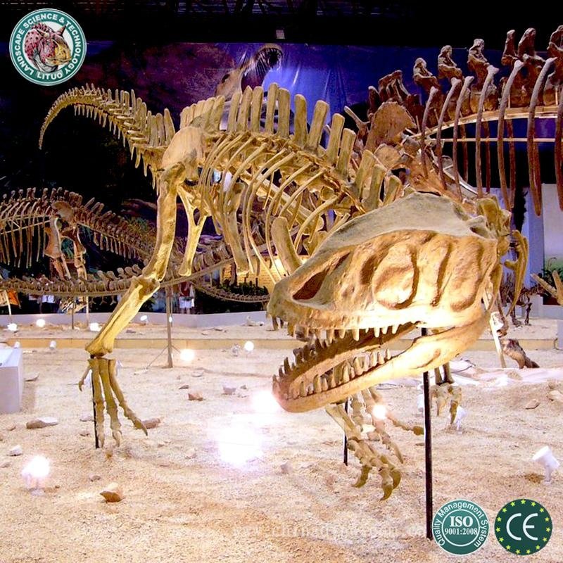 Life Size Dinosaur Fossil Skeleton 3