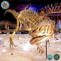 Life Size Dinosaur Fossil Skeleton 3