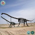 RFP Dinosaur Model Skeleton Fossil Statue 2