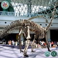 RFP Dinosaur Model Skeleton Fossil Statue 3