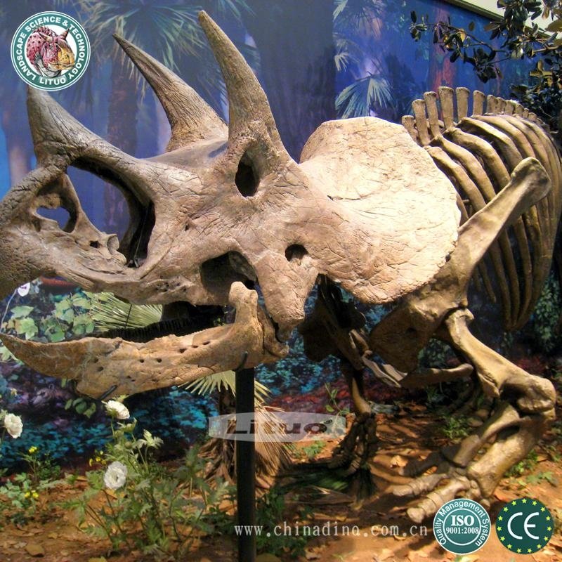  Life Size Dinosaur Model Skeleton