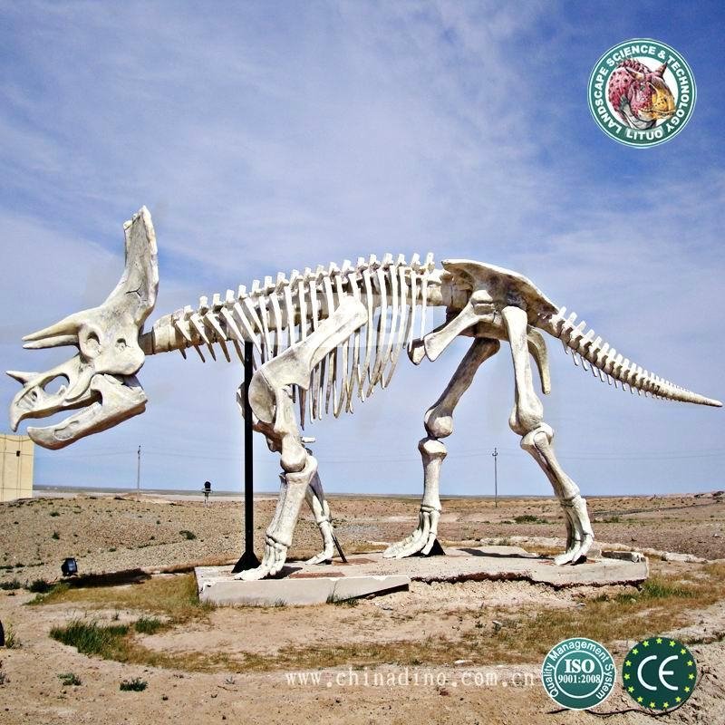  Life Size Dinosaur Model Skeleton 2