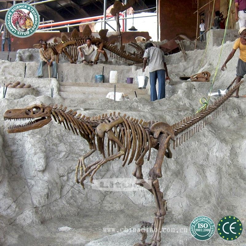  Life Size Dinosaur Model Skeleton 3