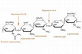 Heparinase I