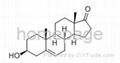 Dehydroepiandrosterone