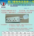 Two Middle East socket converters for