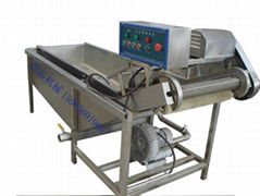 Manufacturers selling fruit and vegetable washing machine