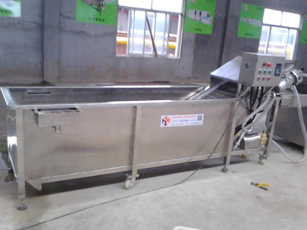 Manufacturers selling fruit and vegetable washing machine 3