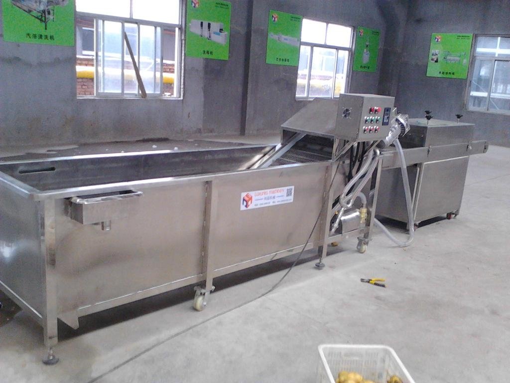 Manufacturers selling fruit and vegetable washing machine 4