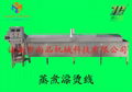 Steaming blanching machine manufacturers selling vegetables 3