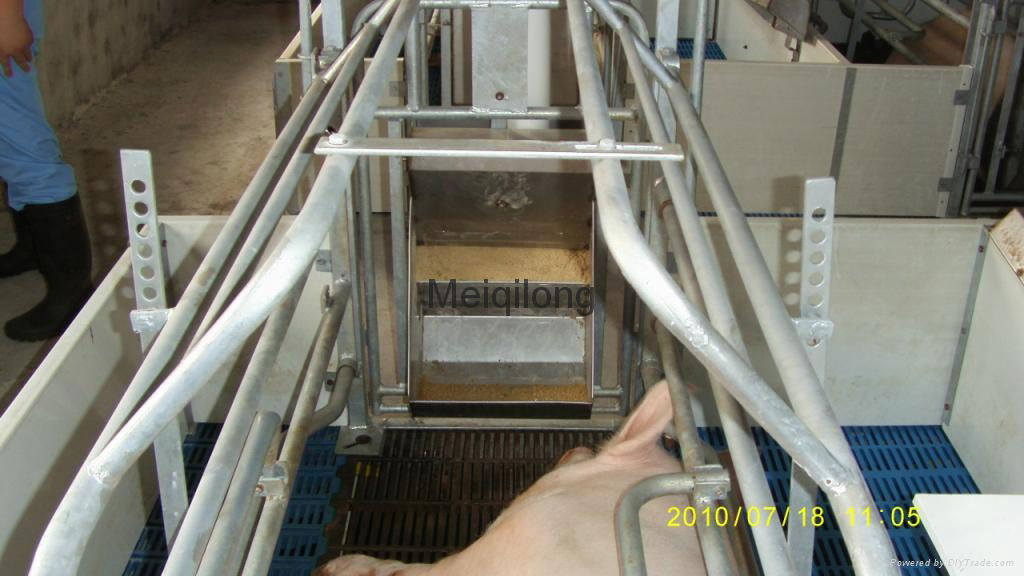 Pig feeding equipment- Pig Farrowing crate with PVC Plank fence 3