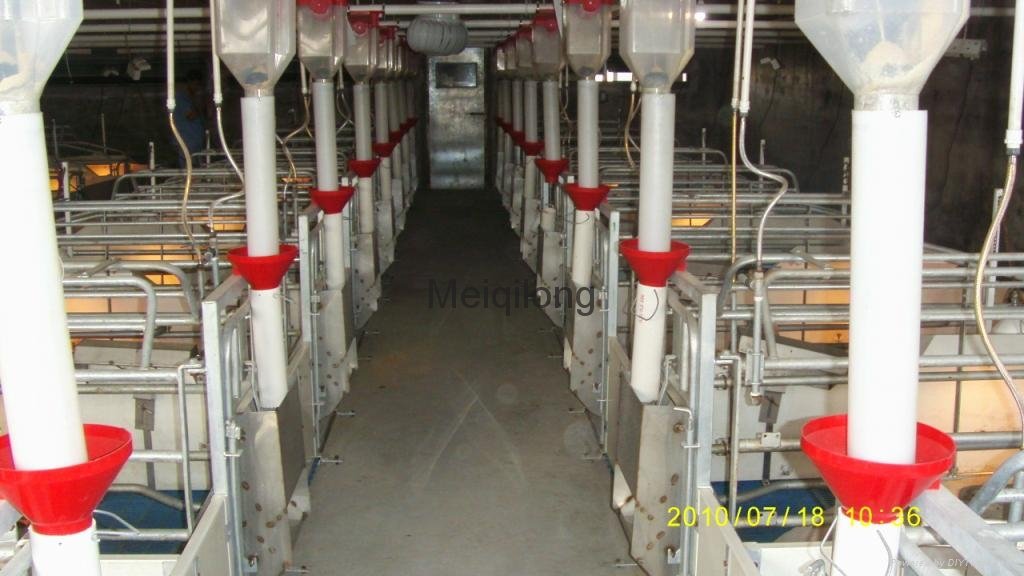 Pig feeding equipment- Pig Farrowing crate with PVC Plank fence 4