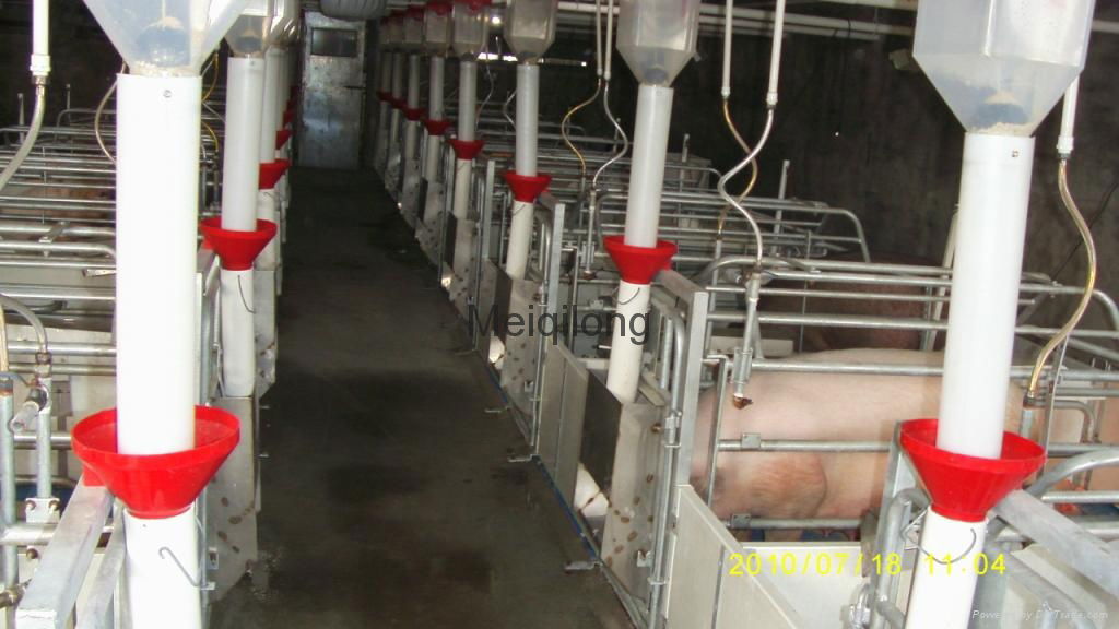 Pig feeding equipment- Pig Farrowing crate with PVC Plank fence 5