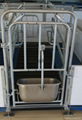 Farrowing crate with rotated feeder 1