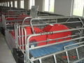 Equipment for pig- Pig Farrowing crate