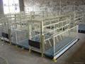 Pig equipment- Powder coating Farrowing crate for pig